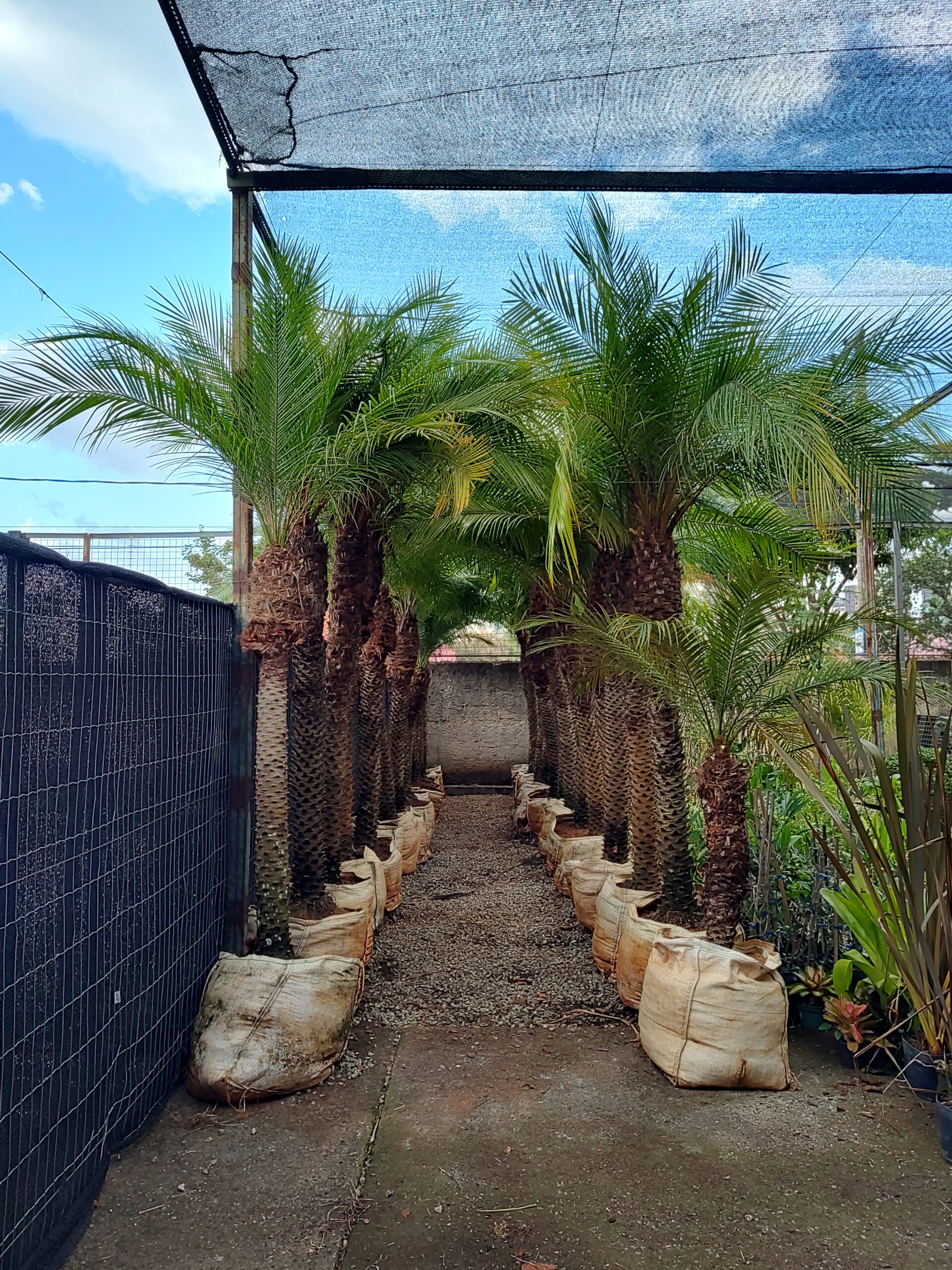 IMG_20250414_161109552_HDR