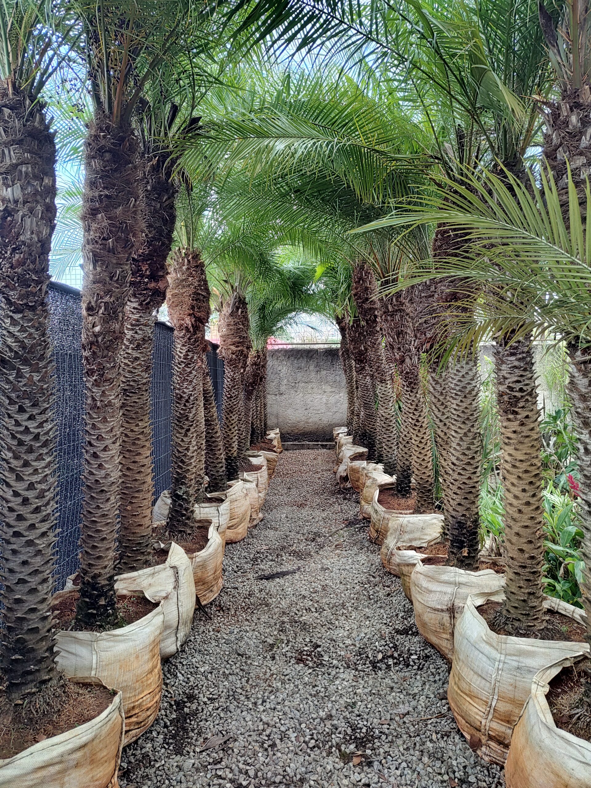 IMG_20250414_161120276_HDR