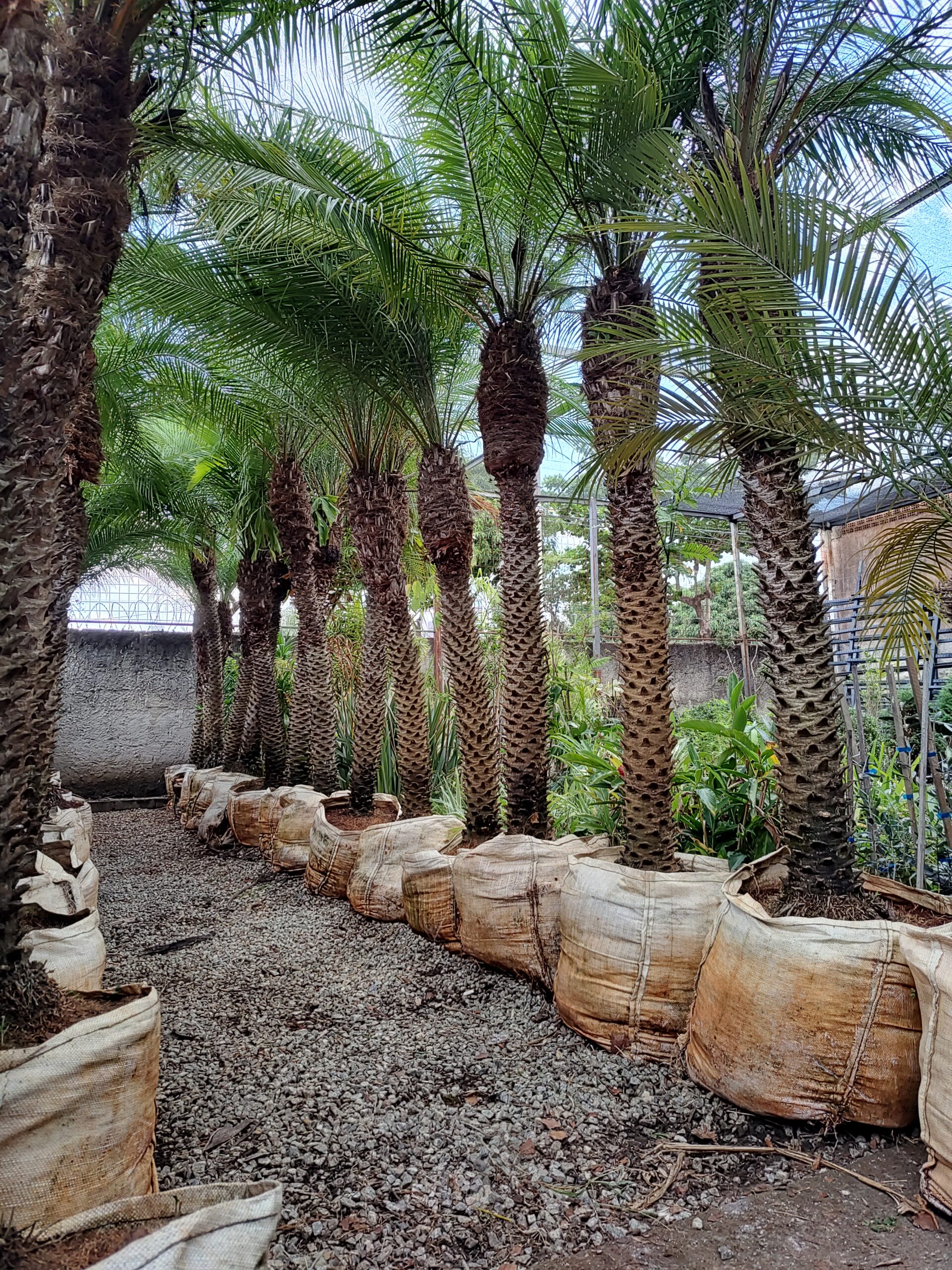 IMG_20250414_161143772_HDR